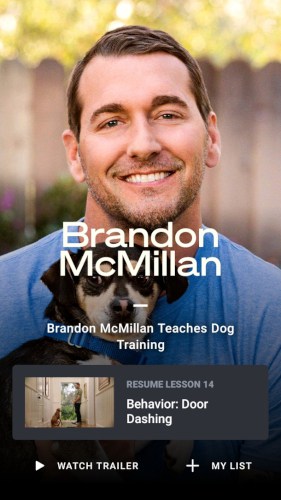 Brandon McMillan dog training Masterclass