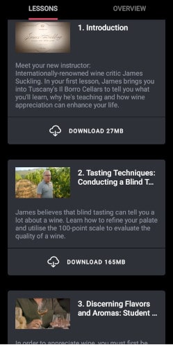 James Suckling explaines  Wine tasting techniques 